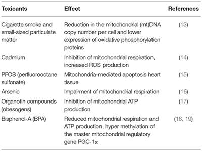 A Cell-Based Approach to Study the Associations Between Mitochondrial Health, Early Life Exposures, and Consequent Health Outcomes